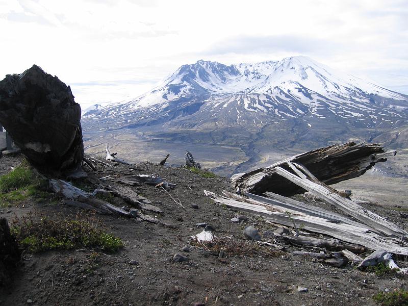 Mount St.Helens (13).JPG